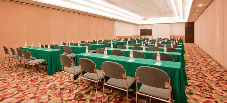 Holiday Inn 伊拉普阿托(Holiday Inn Irapuato)图片