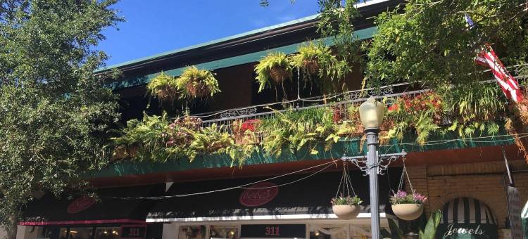 奥兰多公园广场酒店 - 温特帕克(Park Plaza Hotel Orlando - Winter Park)图片