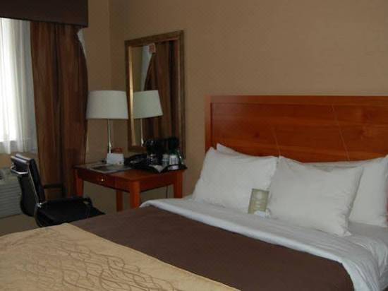 Comfort Inn Times Square West Hotel Reviews And Room Rates