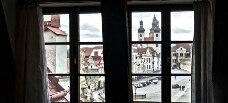 塞勒林酒店(Hotel Celerin)图片