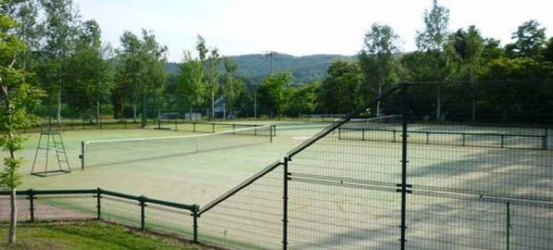 枫叶小屋旅馆(Log Hotel the Maple Lodge)图片