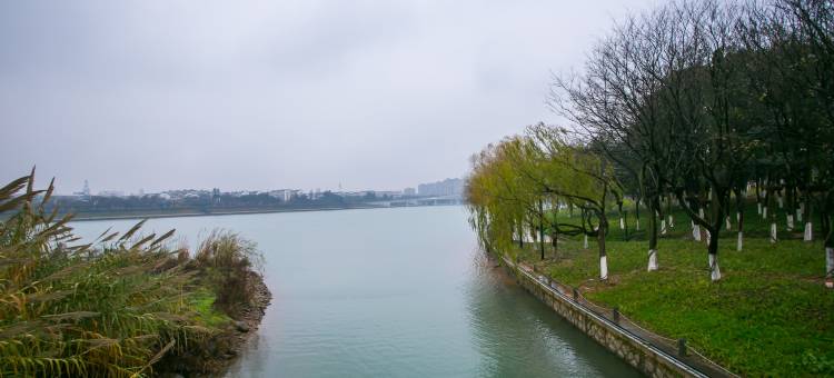 衢州东方桥庵里酒店图片