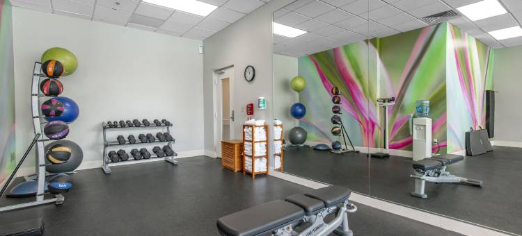 奥兰多 - 迪士尼之泉®区假日酒店 - IHG 旗下酒店(Holiday Inn Orlando – Disney Springs™ Area, an IHG Hotel)图片