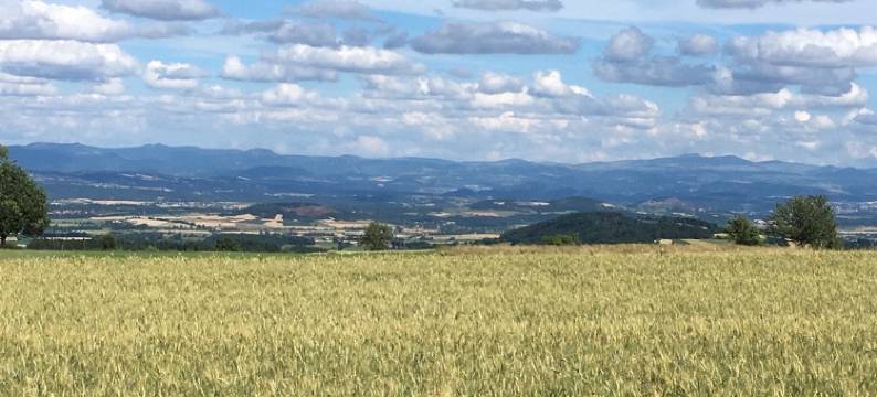 艺术创作旅馆(Art et Création)图片