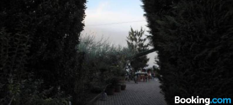 吉莱里索莱勒住宿加早餐旅馆(Girelli Sorelle)图片