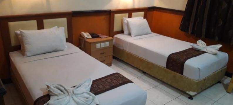 丹戎安格莱尼酒店(Anggraeni Hotel Tanjung)图片