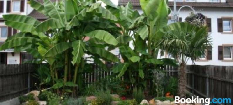 克洛伊旅馆(Pension Chloe)图片