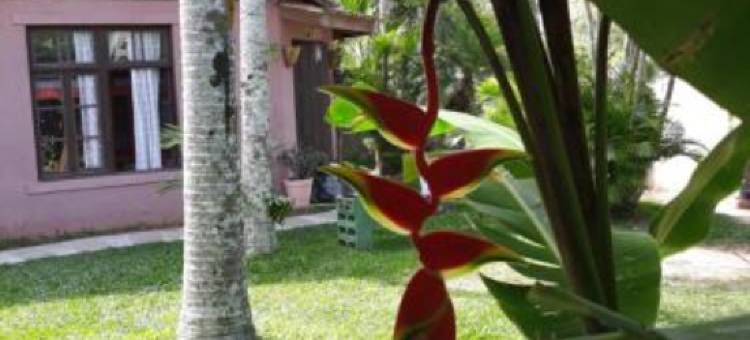 Floripa Beach House Hostel图片