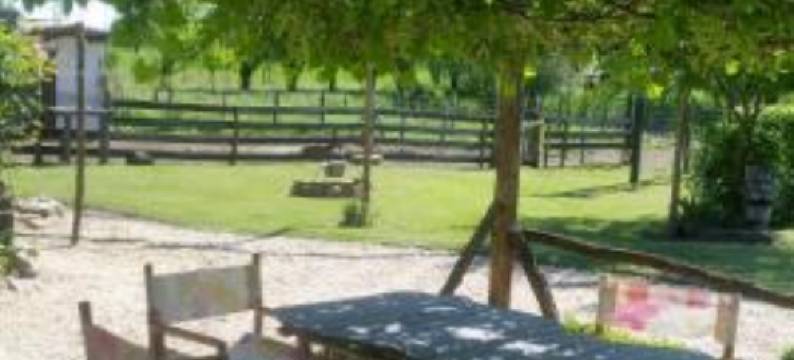 慵懒时光旅馆(Lazy Days)图片