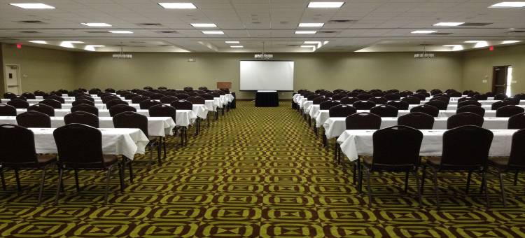 格林斯伯勒机场假日酒店(DoubleTree by Hilton Greensboro Airport)图片