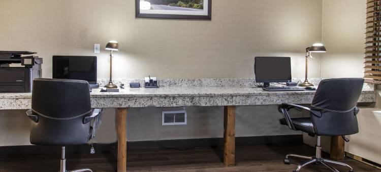 火烈鸟酒店(Flamingo Hotel)图片