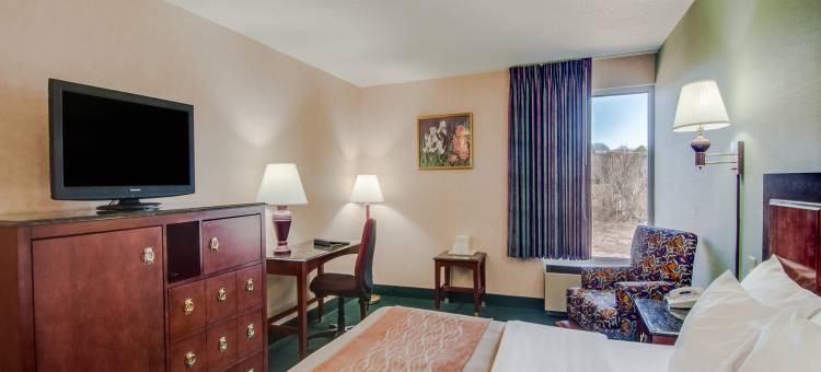 弗吉尼亚州霍斯中心因舒适酒店(Comfort Inn Virginia Horse Center)图片