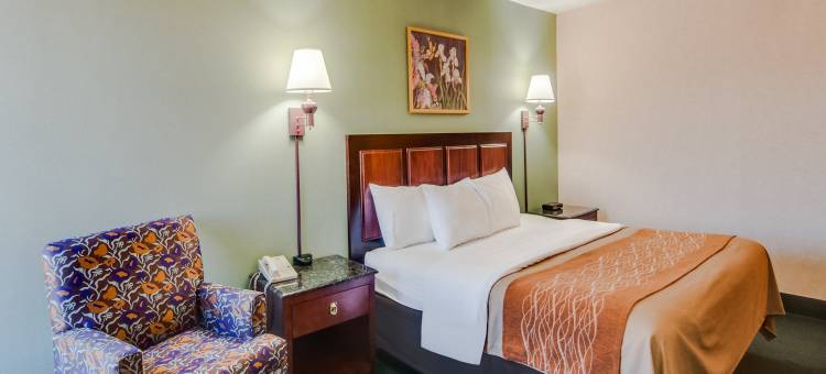 弗吉尼亚州霍斯中心因舒适酒店(Comfort Inn Virginia Horse Center)图片