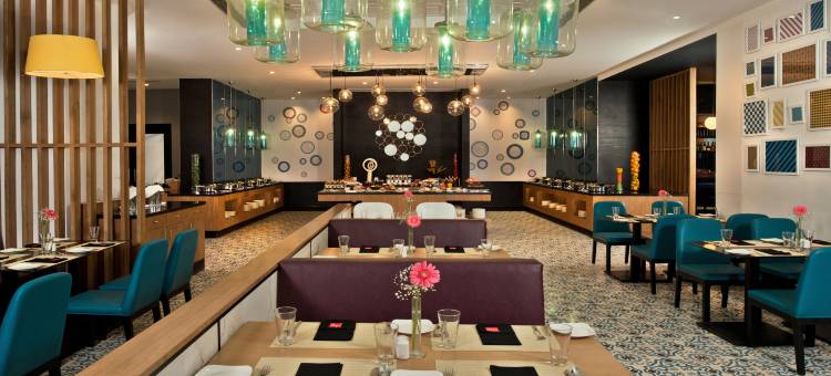 新德里 IP 扩展区丽柏酒店(Park Inn by Radisson New Delhi IP Extension)图片