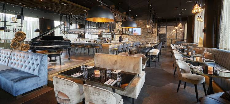 阿姆斯特丹南部丽笙酒店及套房(Radisson Hotel & Suites Amsterdam South)图片