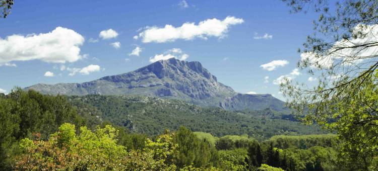 美居艾克斯普罗旺斯博马努瓦酒店(Mercure Aix en Provence Beaumanoir)图片