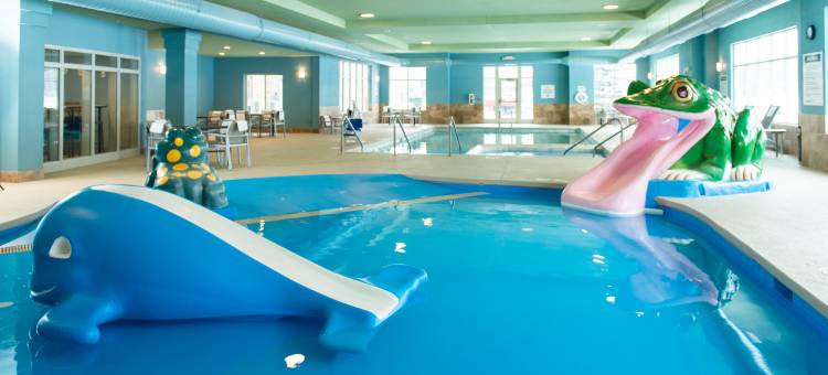 沃索智选假日套房酒店(Holiday Inn Express & Suites Wausau)图片