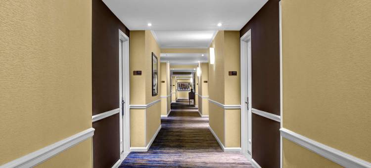 纽约时代广场希尔顿酒店(Hilton New York Times Square)图片