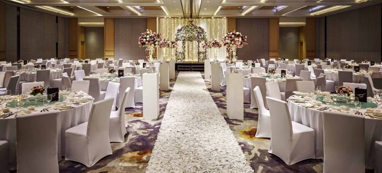 新加坡市中心索菲特酒店(Sofitel Singapore City Centre)图片