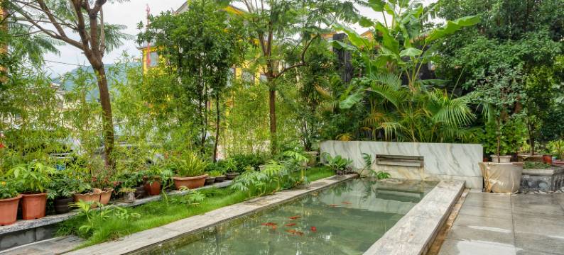 漾濞璞澍精品酒店图片