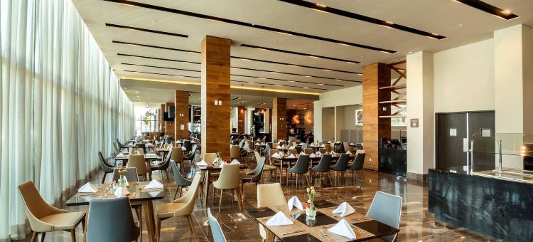 希尔顿花园酒店-阿瓜斯卡连特斯(Hilton Garden Inn Aguascalientes)图片