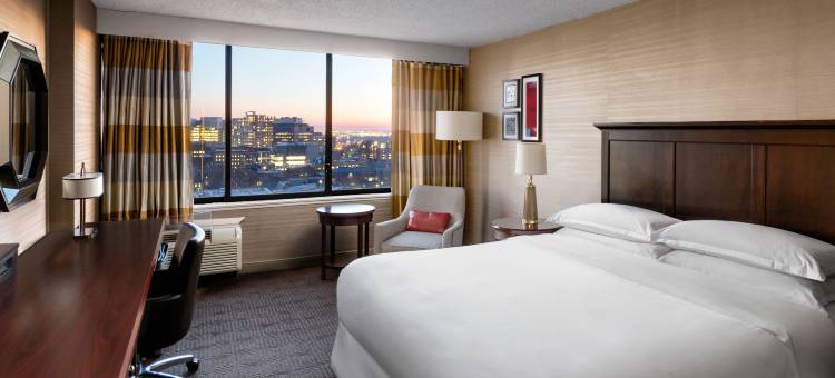 费城大学城喜来登酒店(Sheraton Philadelphia University City Hotel)图片