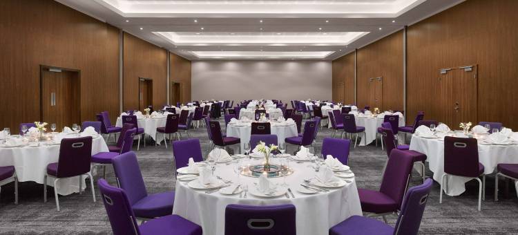 东米德兰机场丽笙酒店(Radisson Blu Hotel, East Midlands Airport)图片