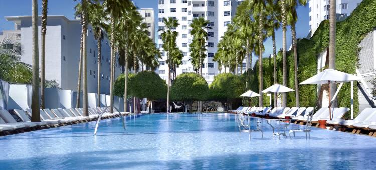 德拉诺迈阿密海滩南海滩酒店(Delano South Beach Miami)图片
