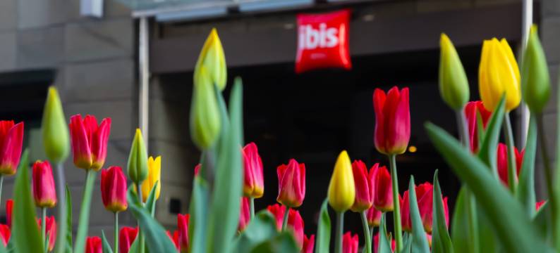 莫斯科中心巴赫鲁希纳宜必思酒店(Ibis Moscow Centre Bakhrushina)图片