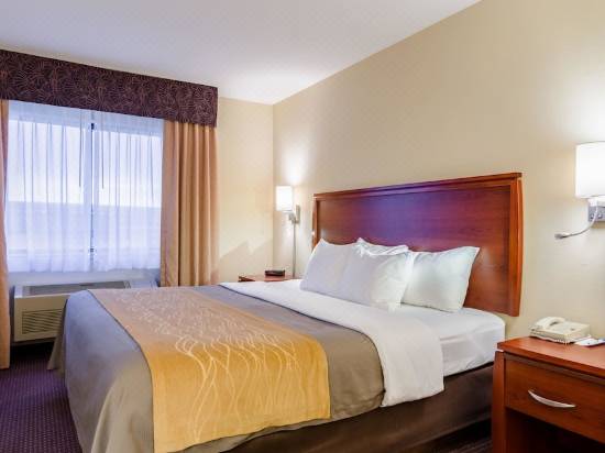 Comfort Inn Colby Hotel Reviews And Room Rates Trip Com