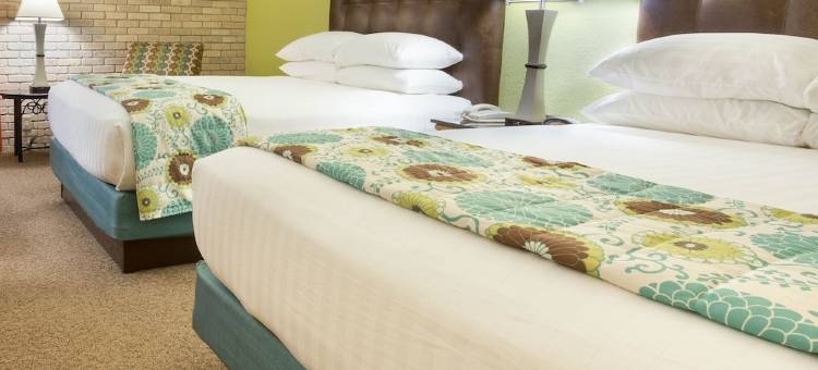 迈克艾伦德鲁里套房酒店(Drury Inn & Suites McAllen)图片