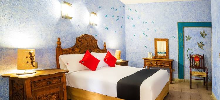 Capital O Amatlán图片