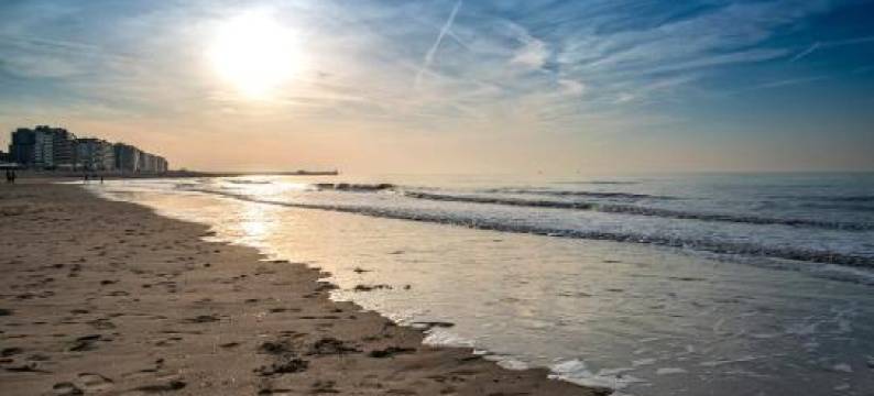 鲁本斯酒店(Hotel Rubens)图片