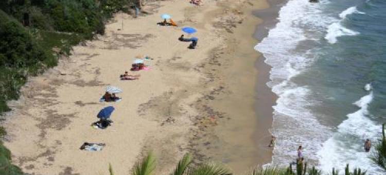 拉赛盖尔酒店(Hotel la Cigale)图片