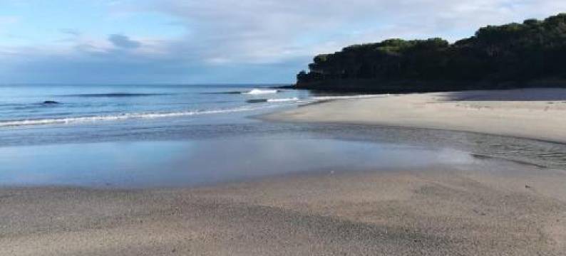 弗以马雷酒店(Hotel Villa Campana)图片