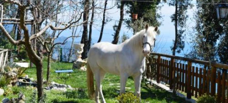 米拉马雷住宿加早餐酒店(B&B Miramare)图片