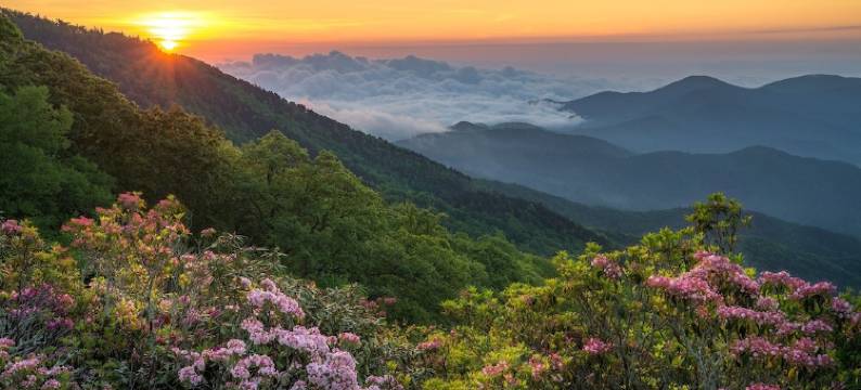 魅力山景 1 居之家 A 框酒店 - 附阁楼(Charming A-Frame W/ Loft & Mountain Views 1 Bedroom Home)图片