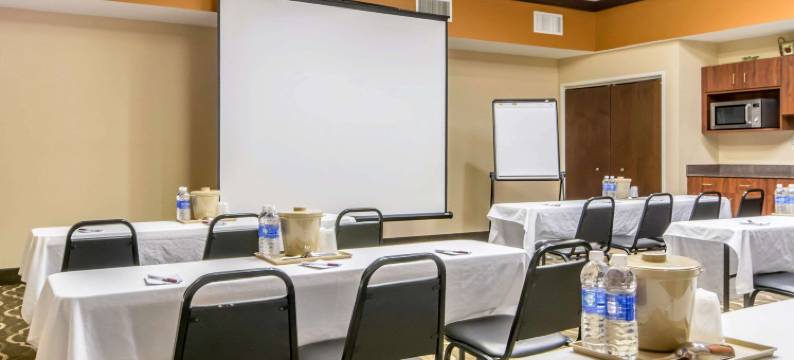 舒适套房酒店(Comfort Suites)图片