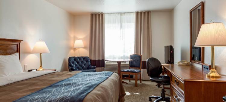 天堂贝斯特韦斯特酒店(Best Western Paradise Hotel)图片