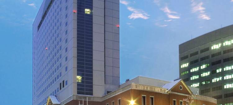 OMO7 旭川 by 星野集团(OMO7 Asahikawa by Hoshino Resorts)图片