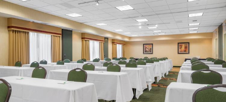 明尼阿波利斯 - 奥茨戈花园温德姆酒店(Wyndham Garden Otsego-Minneapolis)图片