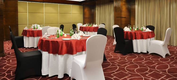 艾哈迈达巴德福朋喜来登酒店(Four Points by Sheraton Ahmedabad)图片