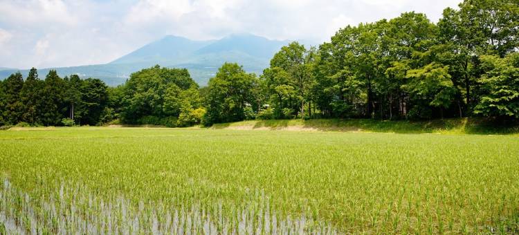 星野集团 RISONARE 那须(Hoshino Resorts RISONARE Nasu)图片
