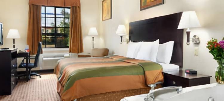 IAH西-格林斯伯恩特速8酒店(Super 8 by Wyndham IAH West/Greenspoint)图片