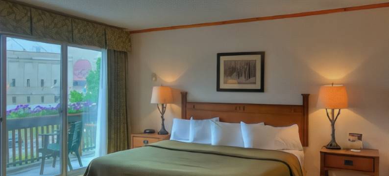 阿迪朗达克贝斯特韦斯特酒店(Best Western Adirondack Inn)图片