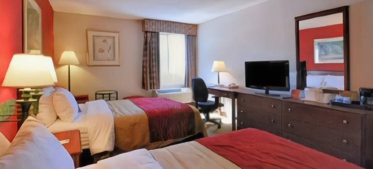 Comfort Inn Boston图片