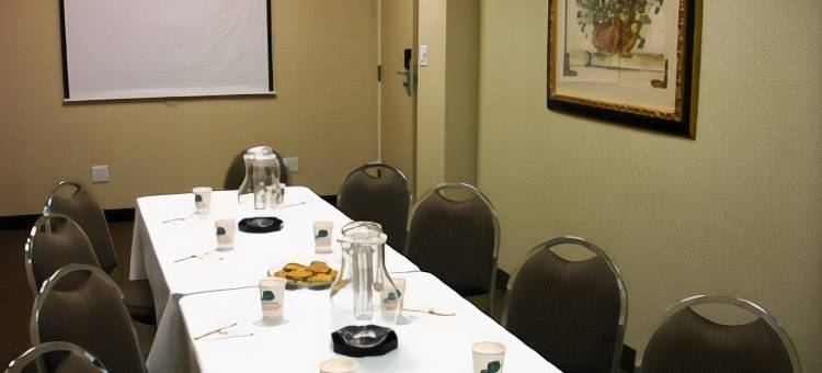 塞维利亚广场温德姆商标精选酒店(Seville Plaza Hotel, Trademark Collection by Wyndham)图片