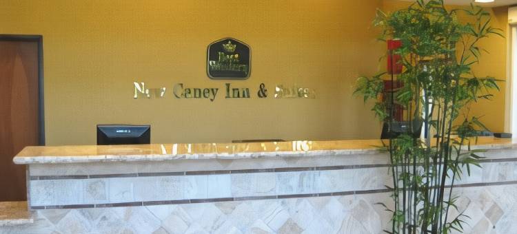新凯尼贝斯特韦斯特优质套房酒店(Best Western Plus New Caney Inn  Suites)图片