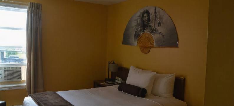 追梦人旅馆(Dreamcatcher Lodge)图片