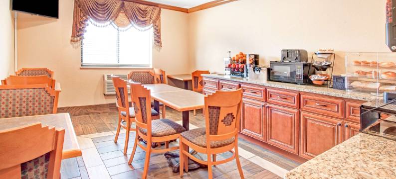 底特律地铁机场美国套房酒店(American Inn & Suites Romulus DTW)图片